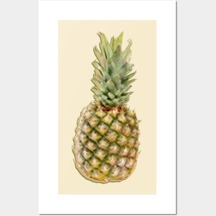 Pineapple Posters and Art